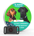 Flea Tick Tick Tick Collar